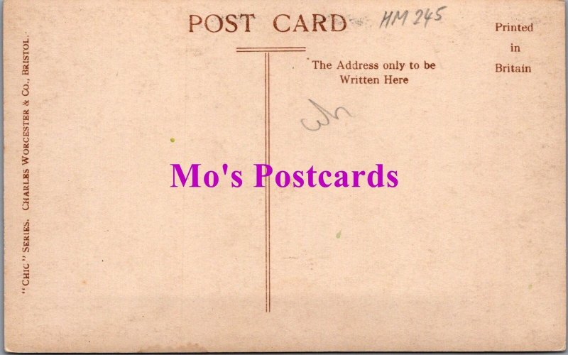 Devon Postcard - Donkeys on Clovelly High Street    HM245