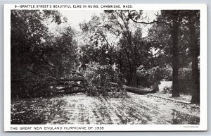Disaster~Cambridge MA~Brattle Street~Great New England Hurricane~1938 Postcard