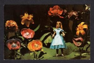 FL Alice in Wonderland Disney World FLORIDA Postcard PC