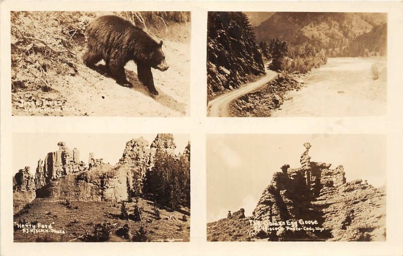 F83/ Cody Wyoming Postcard RPPC c1930s 4View Bear Henry Ford Geology