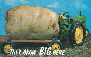 Idaho Exageration Large Idaho Potato 1965