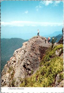 Great Smoky Mountains Charlies Bunion