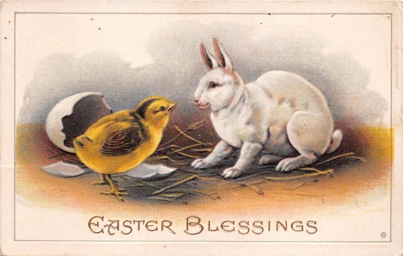 EASTER BLESSINGS~J J MARKS POSTCARD c1913~WHITE RABBIT AND NEWLY HATCHED CHICK