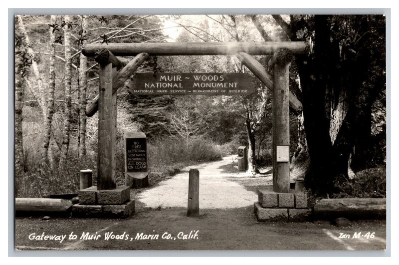 Postcard CA Muir Woods National Monument California Gateway 