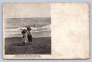 J88/ Vermilion Ohio Postcard c1910 Wild Waves Children Linwood Park 67