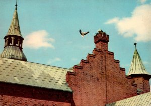 Denmark Randers Storks On Saint Morten's Church