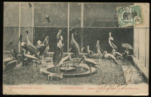 Aviary with cranes, storks, in Saigon botanical garden. 1912 postcard Saigon pm