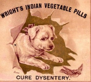 1880's WRIGHT'S INDIAN PILLS CURE DYSENTERY DOG PUPPY CHASES BIRD TRADE CARD