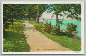Lakeside Ohio~Lover’s Lane~Vintage Postcard
