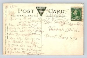 Adrian Michigan Lenawee County Fair Postcard 1909 Rural Mail Boxes