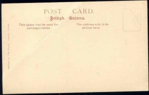 british guiana, GEORGETOWN, Camp Street (1930s) RPPC