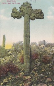 Giant Cactus 30 Feet High With 10 Foot Arm