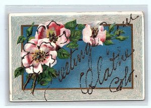 Greetings From OLATHE, CO Colorado ~ FLOWERS 1909 Montrose County Postcard