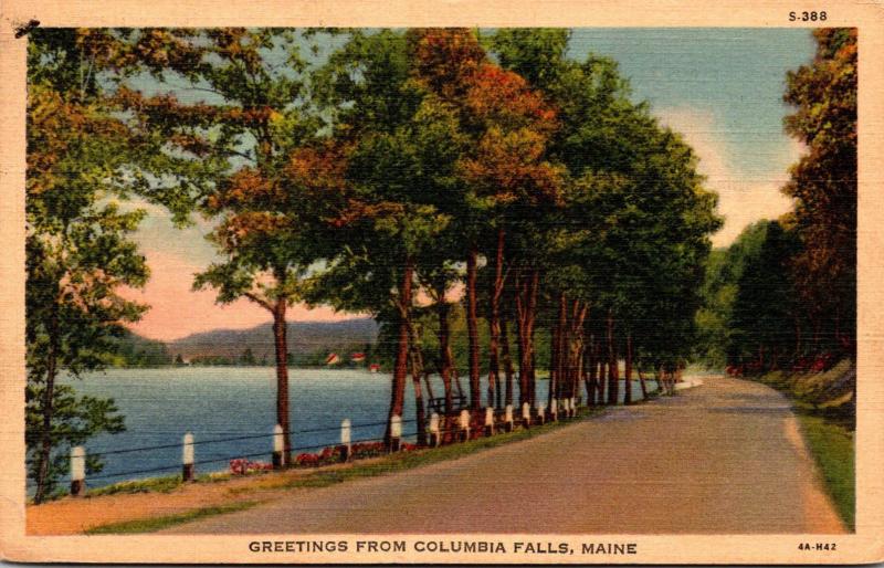 Maine Greetings From Columbia Falls 1941 Curteich