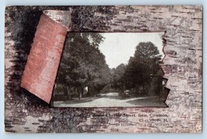 c1910 Looking Down Chester Street From Common Chester New Hampshire NH Postcard