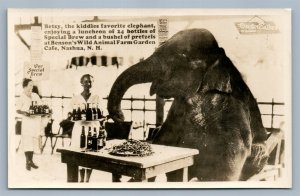 NASHUA NH WILD ANIMAL CAFE ANTIQUE REAL PHOTO POSTCARD RPPC collage ELEPHANT