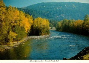 Canada British Columbia Adams River Near Scotch Creek