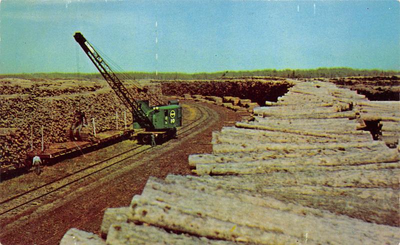 International Falls Minnesota~Pulp Wood Stack~Crane~Paper Mill~1950s Pc