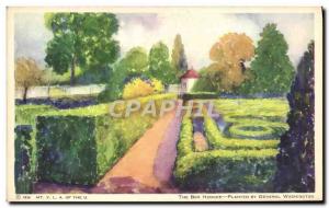 Old Postcard The Box Hedges Planted By General Washington Mount Vernon