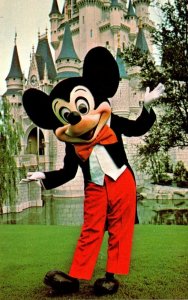 Florida Walt Disney World Mickey Mouse Welcome To The Magic Kingdom