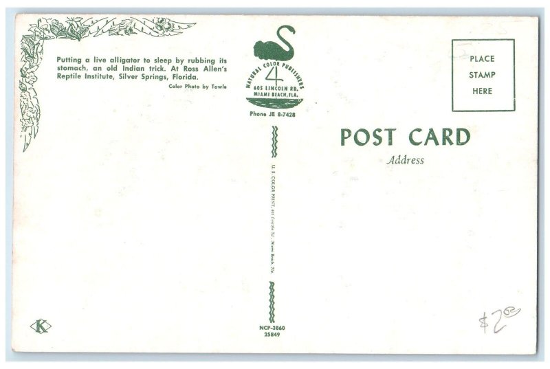 c1950's Reptile Institute Putting Alligator Sleep Silverspring Florida Postcard