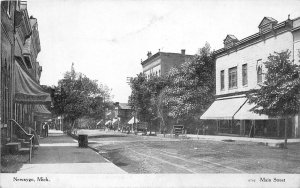 J60/ Newaygo Michigan Postcard c1910 Stores Main Street  71