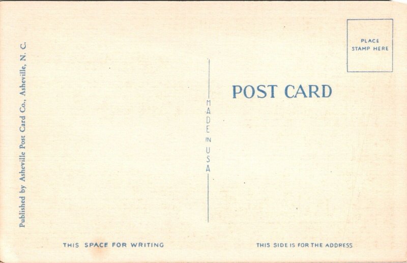 Postcard Mountain Lake by Moonlight Near Pembroke VA T17