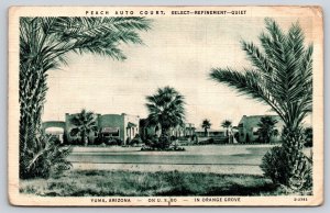 Yuma Arizona~Peach Auto Court~Roadside Motel~Palms~Orange Groves~1933 B&W Linen