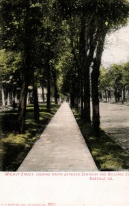 Danville, Illinois - Tree Lined Walnut Street, between Seminary & Williams -1907