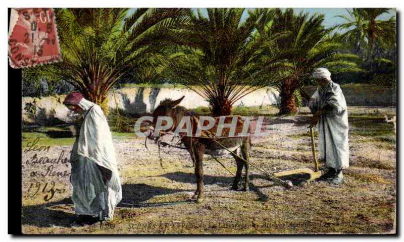 Postcard Old Algeria hitch ane Donkey