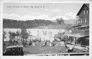 Big Moose New York Higby's Lawn Scenic View Vintage Postcard AA110097