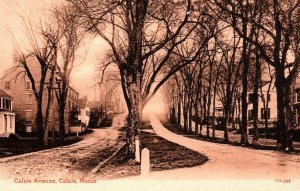 Calais, Maine - The houses on Calais Avenue - c1905 - Vintage Postcard