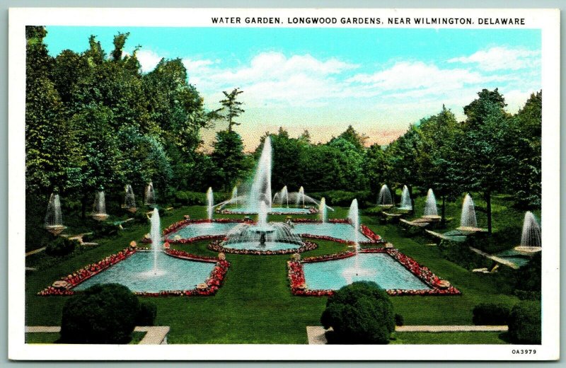 Winter Garden Longwood Gardens Wilmington Delaware DE UNP WB Postcard I4