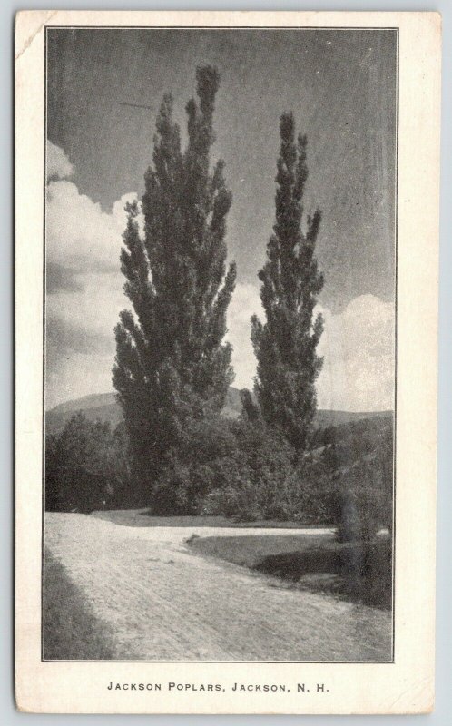 Jackson New Hampshire~Gravel Road Takes Right At Jackson Poplars~1912 Postcard 