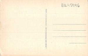 BR45996 la cathedrale tunis tunisia