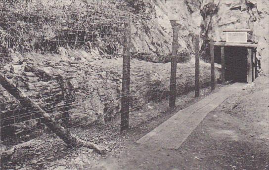 Monarch Or Tunnel Tree Petrified Forest Calistoga California Albertype