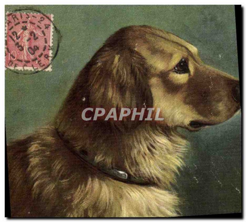 Postcard Old Dog Dogs Puppy