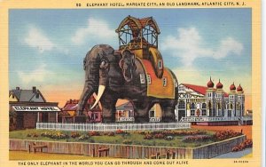 Elephant Hotel, Margate City in Atlantic City, New Jersey