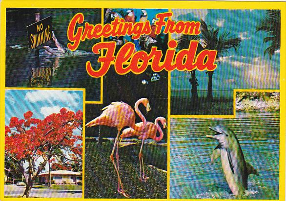 Greetings From Florida Multi View