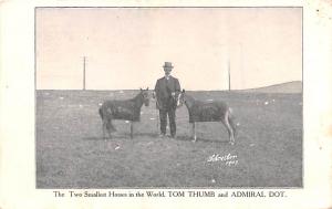 Two Smallest Horses in the World Tom Thumb and Admiral Dot Unused 