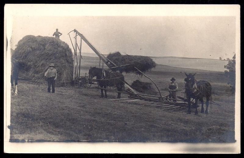 Hay Stack Horses Plow Equipment REAL PHOTO PC unused c1910's