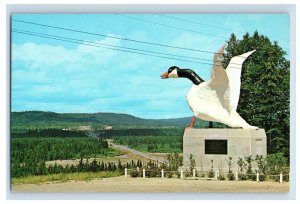 Vintage The Wild Goose Wawa Ontario Canada Postcard P158E