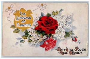 Language Of Flowers Romance Postcard White Lilac Yough Rose Beauty Fort Wayne ND