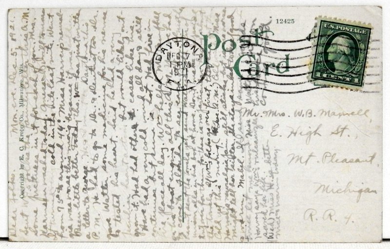 Banana Blossom and Fruit, Florida - Postcard