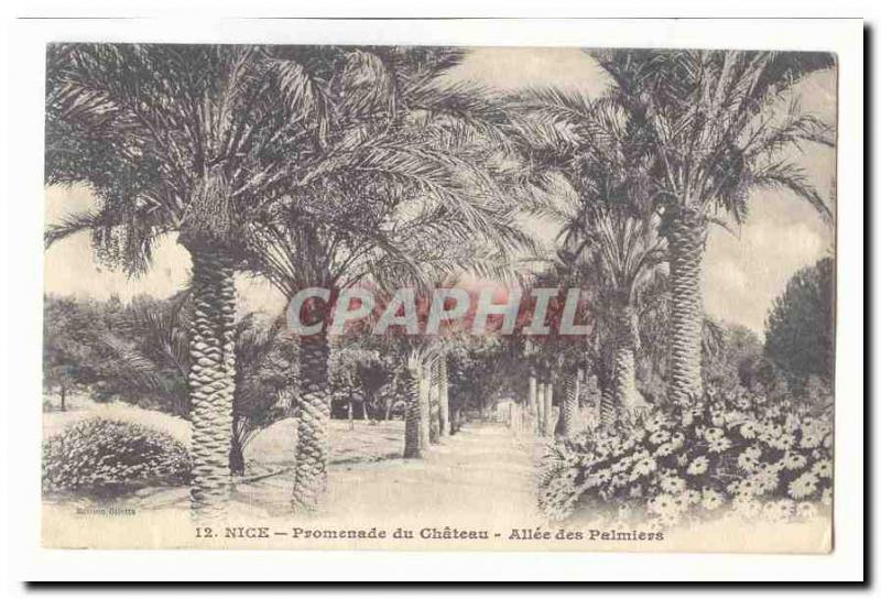 Nice Old Postcard Allee castle Walk palms