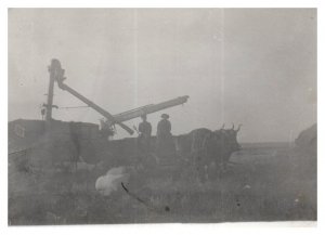 Plowing a field behind oxen old faded black and white photo RPPC Postcard