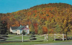 Canada Autumn Landscape Scene