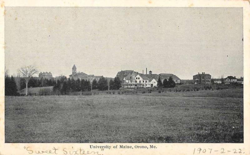 Orono Maine University Street View Antique Postcard K85184