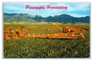 Pineapple Harvesting Machine Honolulu Hawaii HI Chrome Postcard A15