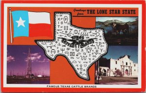 Famous Cattle Brands of the State Texas Chrome Postcard C116
